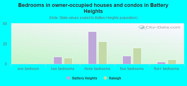 Bedrooms in owner-occupied houses and condos in Battery Heights