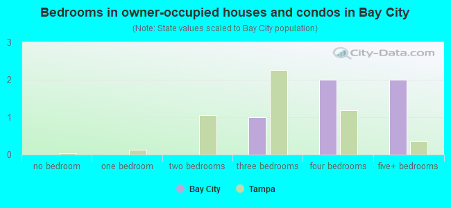 Bedrooms in owner-occupied houses and condos in Bay City