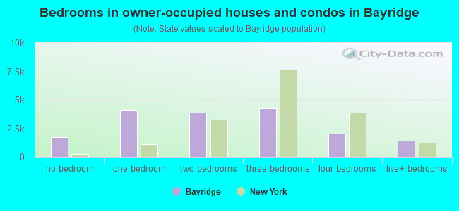 Bedrooms in owner-occupied houses and condos in Bayridge