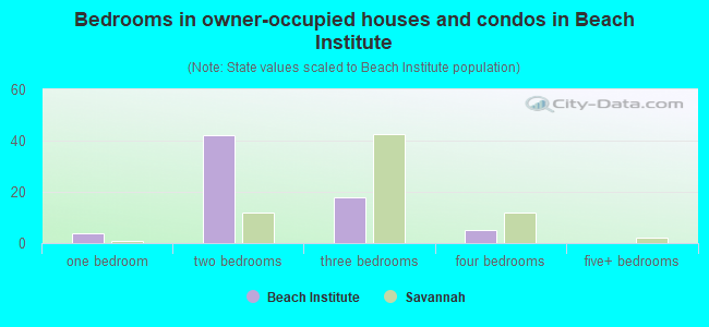 Bedrooms in owner-occupied houses and condos in Beach Institute