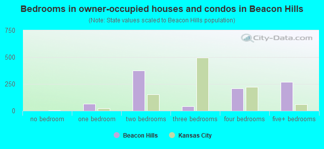 Bedrooms in owner-occupied houses and condos in Beacon Hills