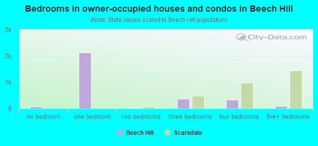 Bedrooms in owner-occupied houses and condos in Beech Hill