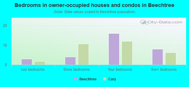 Bedrooms in owner-occupied houses and condos in Beechtree