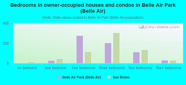 Bedrooms in owner-occupied houses and condos in Belle Air Park (Belle Air)