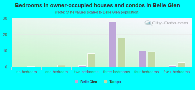 Bedrooms in owner-occupied houses and condos in Belle Glen
