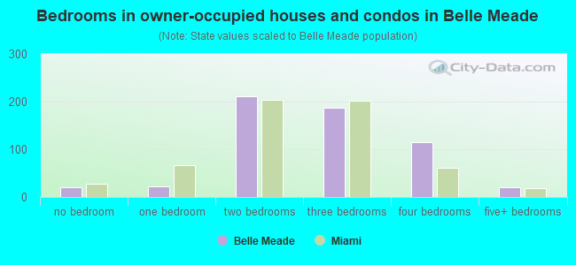 Bedrooms in owner-occupied houses and condos in Belle Meade