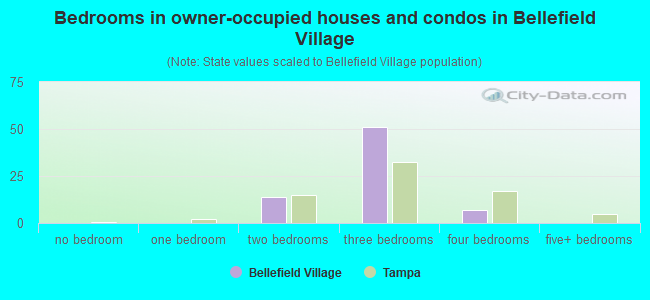 Bedrooms in owner-occupied houses and condos in Bellefield Village