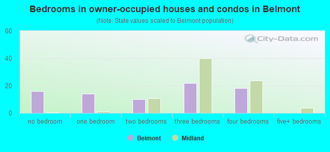 Bedrooms in owner-occupied houses and condos in Belmont