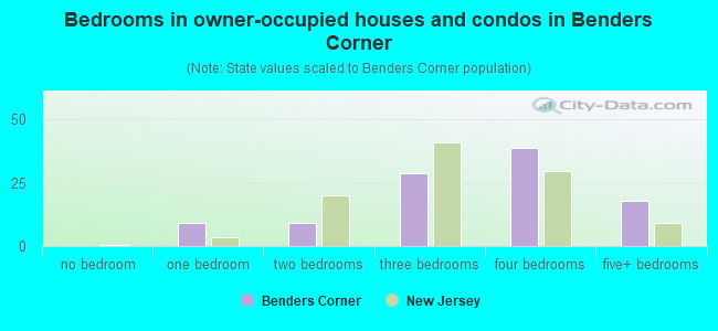 Bedrooms in owner-occupied houses and condos in Benders Corner