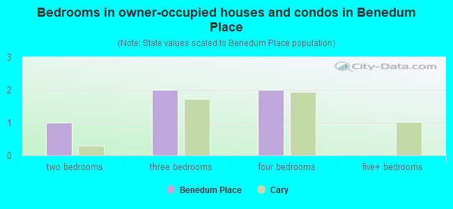 Bedrooms in owner-occupied houses and condos in Benedum Place
