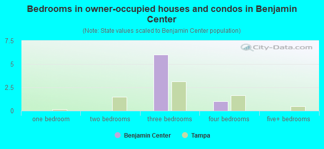 Bedrooms in owner-occupied houses and condos in Benjamin Center