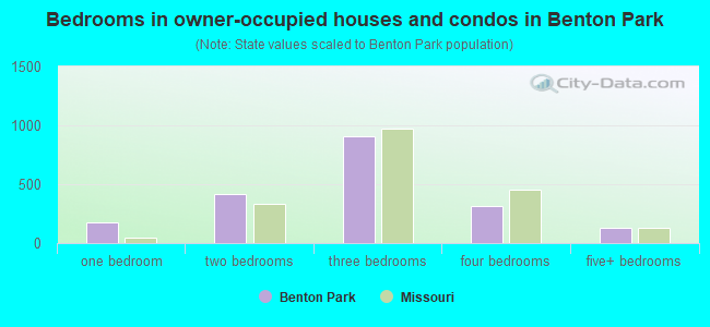 Bedrooms in owner-occupied houses and condos in Benton Park