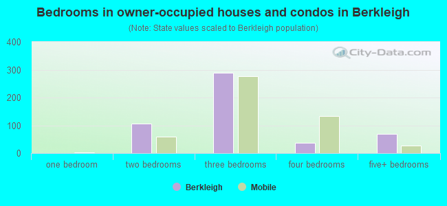 Bedrooms in owner-occupied houses and condos in Berkleigh