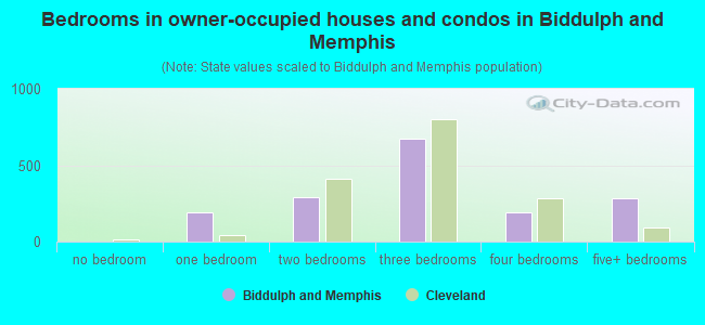 Bedrooms in owner-occupied houses and condos in Biddulph and Memphis