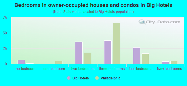 Bedrooms in owner-occupied houses and condos in Big Hotels