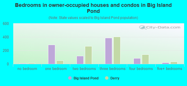 Bedrooms in owner-occupied houses and condos in Big Island Pond