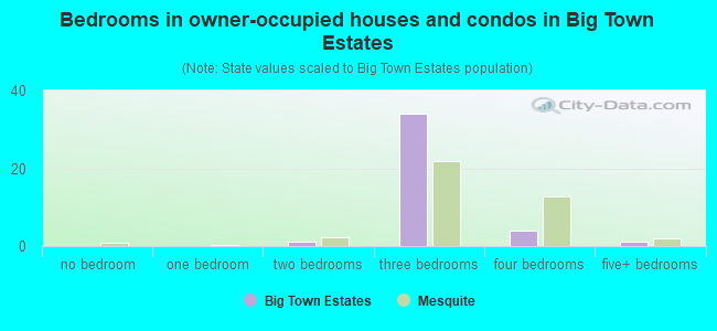 Bedrooms in owner-occupied houses and condos in Big Town Estates