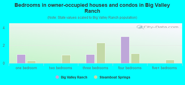 Bedrooms in owner-occupied houses and condos in Big Valley Ranch