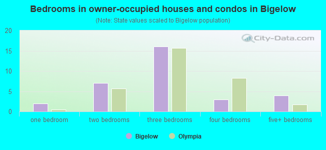 Bedrooms in owner-occupied houses and condos in Bigelow