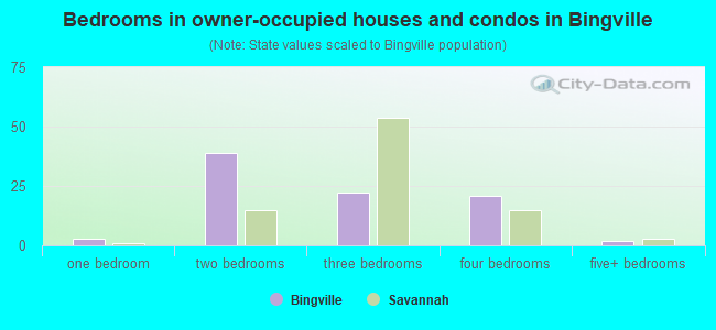 Bedrooms in owner-occupied houses and condos in Bingville