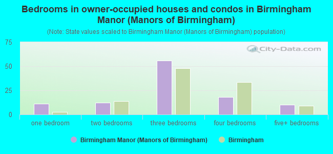 Bedrooms in owner-occupied houses and condos in Birmingham Manor (Manors of Birmingham)