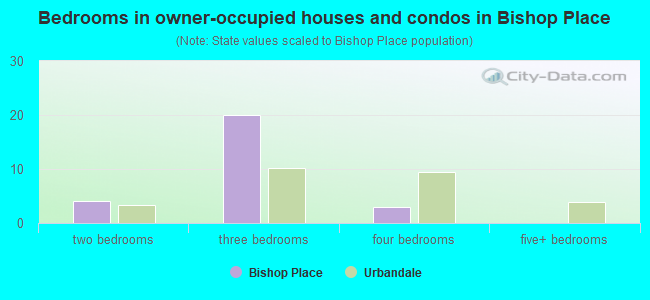 Bedrooms in owner-occupied houses and condos in Bishop Place