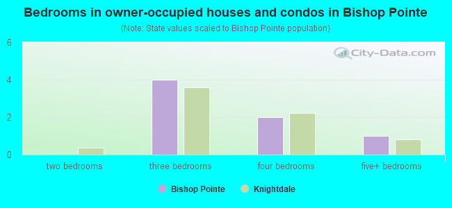 Bedrooms in owner-occupied houses and condos in Bishop Pointe