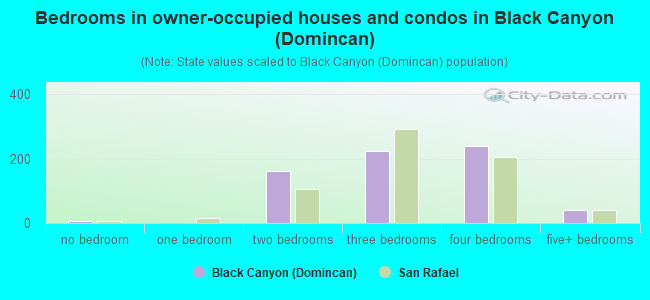 Bedrooms in owner-occupied houses and condos in Black Canyon (Domincan)