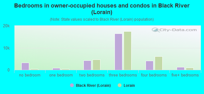 Bedrooms in owner-occupied houses and condos in Black River (Lorain)
