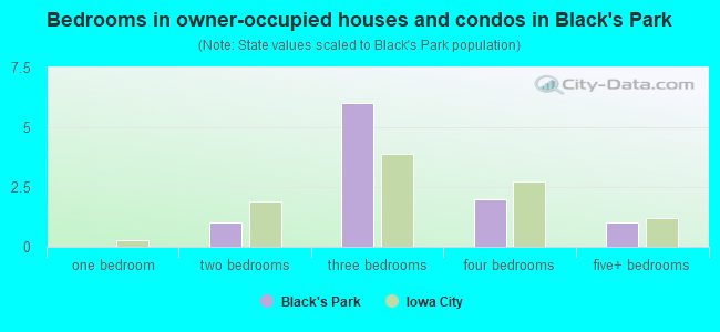 Bedrooms in owner-occupied houses and condos in Black's Park