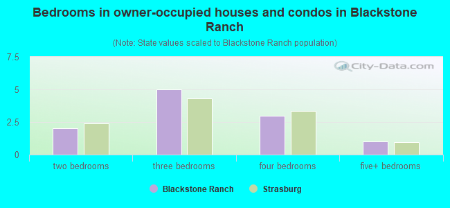 Bedrooms in owner-occupied houses and condos in Blackstone Ranch