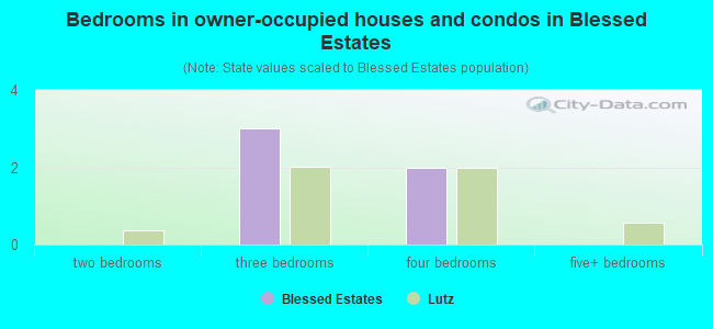 Bedrooms in owner-occupied houses and condos in Blessed Estates