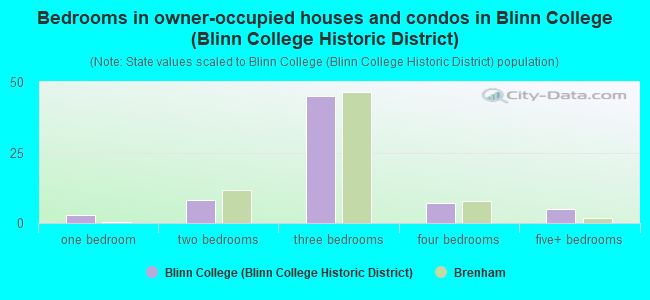 Bedrooms in owner-occupied houses and condos in Blinn College (Blinn College Historic District)