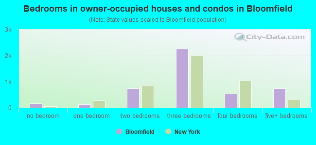 Bedrooms in owner-occupied houses and condos in Bloomfield
