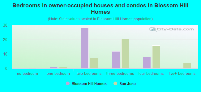 Bedrooms in owner-occupied houses and condos in Blossom Hill Homes