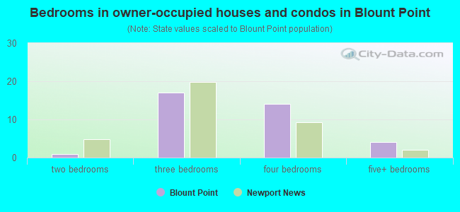 Bedrooms in owner-occupied houses and condos in Blount Point
