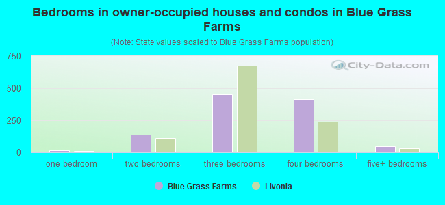 Bedrooms in owner-occupied houses and condos in Blue Grass Farms