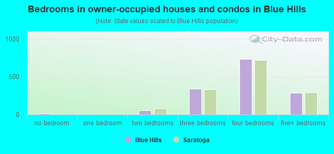 Bedrooms in owner-occupied houses and condos in Blue Hills