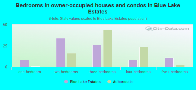 Bedrooms in owner-occupied houses and condos in Blue Lake Estates