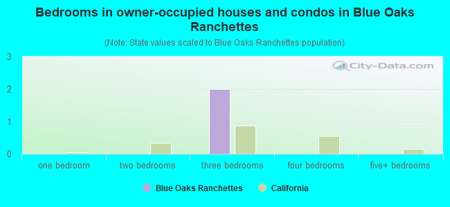 Bedrooms in owner-occupied houses and condos in Blue Oaks Ranchettes