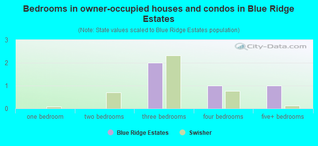 Bedrooms in owner-occupied houses and condos in Blue Ridge Estates