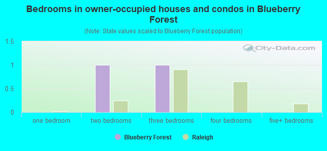 Bedrooms in owner-occupied houses and condos in Blueberry Forest