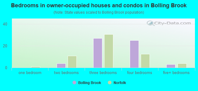 Bedrooms in owner-occupied houses and condos in Bolling Brook
