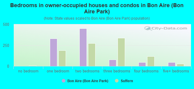 Bedrooms in owner-occupied houses and condos in Bon Aire (Bon Aire Park)