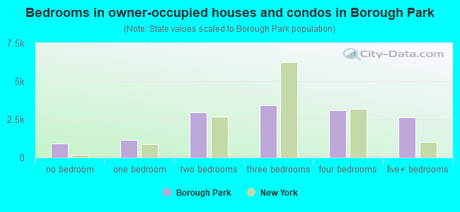 Bedrooms in owner-occupied houses and condos in Borough Park