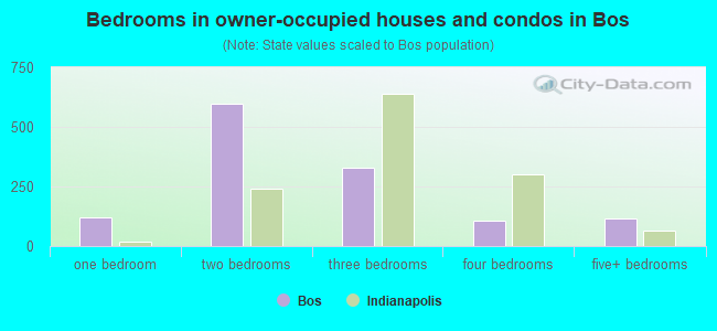 Bedrooms in owner-occupied houses and condos in Bos