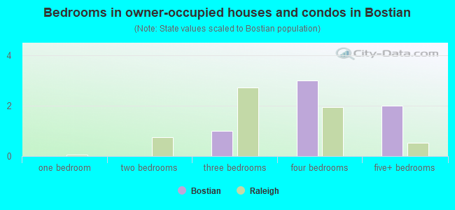 Bedrooms in owner-occupied houses and condos in Bostian