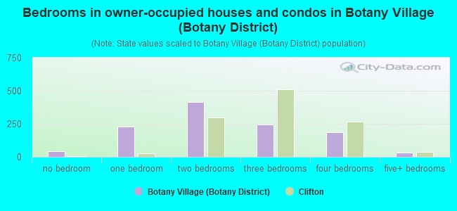 Bedrooms in owner-occupied houses and condos in Botany Village (Botany District)