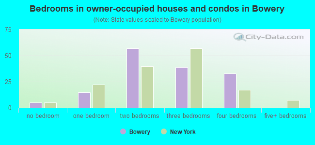 Bedrooms in owner-occupied houses and condos in Bowery