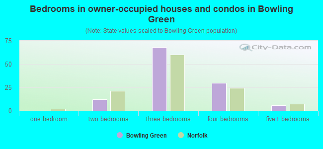 Bedrooms in owner-occupied houses and condos in Bowling Green